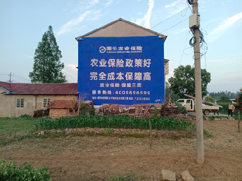 威宁墙体广告为何受追捧？